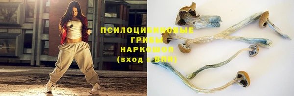 прущие крисы Алексин
