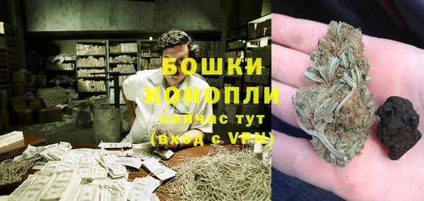 стафф Михайлов