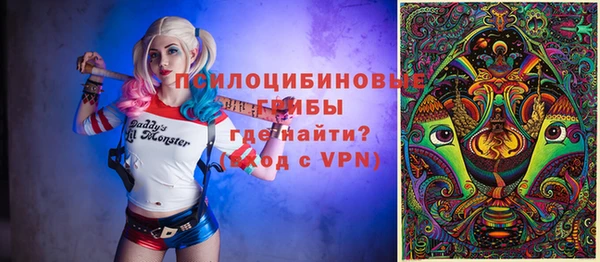стаф Алзамай