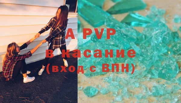 стаф Абаза