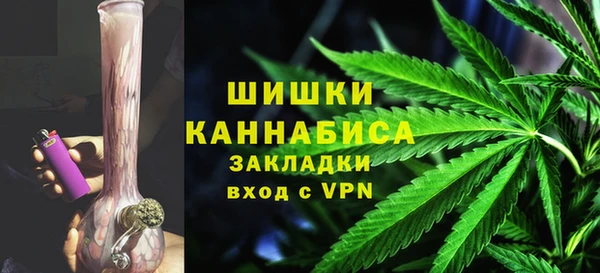 стаф Алзамай