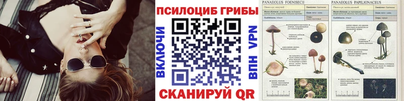 omg ссылка  Рыльск  Псилоцибиновые грибы ЛСД 
