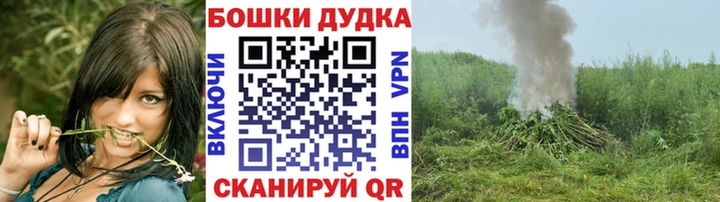 как найти Рыльск Каннабис гибрид